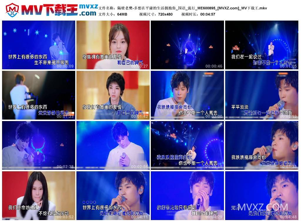 隔壁老樊-多想在平庸的生活拥抱你_国语_流行_ME600895